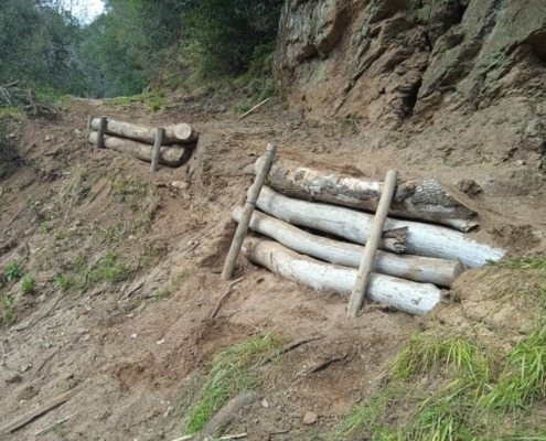 Plantation de rondins de bois pour soutenir le terrain