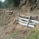 Plantation de rondins de bois pour soutenir le terrain - ADESS