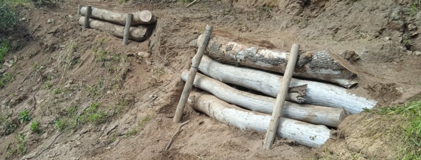 Plantation de rondins de bois pour soutenir le terrain - ADESS