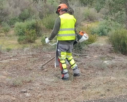 entretiens espaces vert débroussaillage